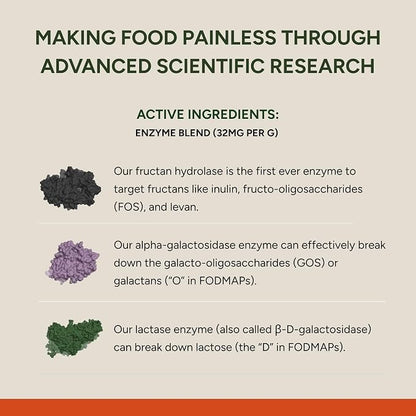 ENZYME SUPPLEMENT
